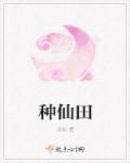 万古最强神婿 金银铜铁铝