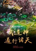 武道通圣 武道通圣