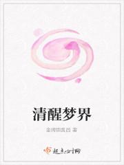 清醒梦新手教程