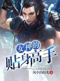 女神的贴身高手全文阅读