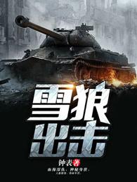 雪狼出击免费阅读木林松