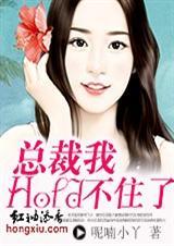 总裁我不进去