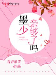 暖风不及你深情书名