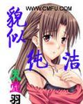 貌似纯洁作家都写过哪些