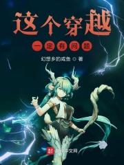 这个穿越有些许潦草