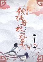 福晋和侧福晋是什么意思