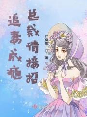 总裁追妻上瘾免费阅读