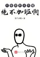 打职业的我不想加班 打职业的我不想加班