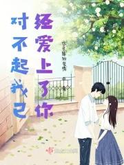 对不起我已不爱你歌曲