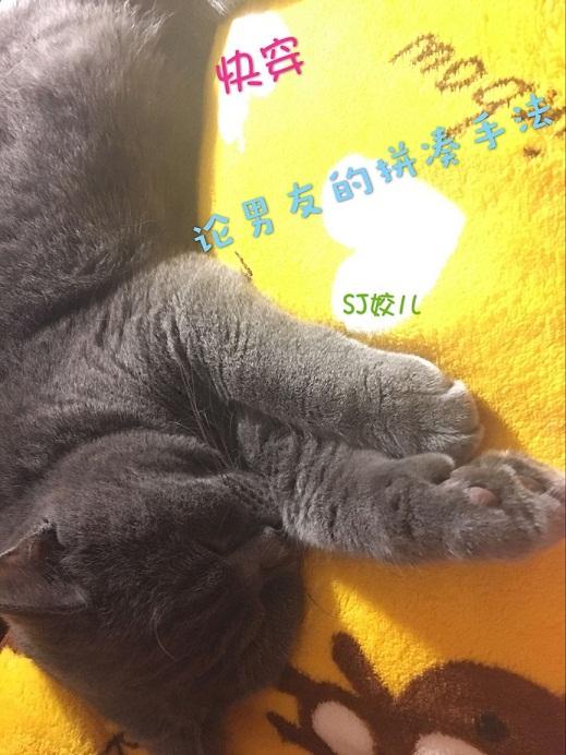 请亲亲!姒城城 请亲亲!姒城城