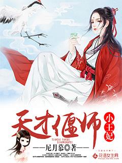 天才偃师小王妃 天才偃师小王妃